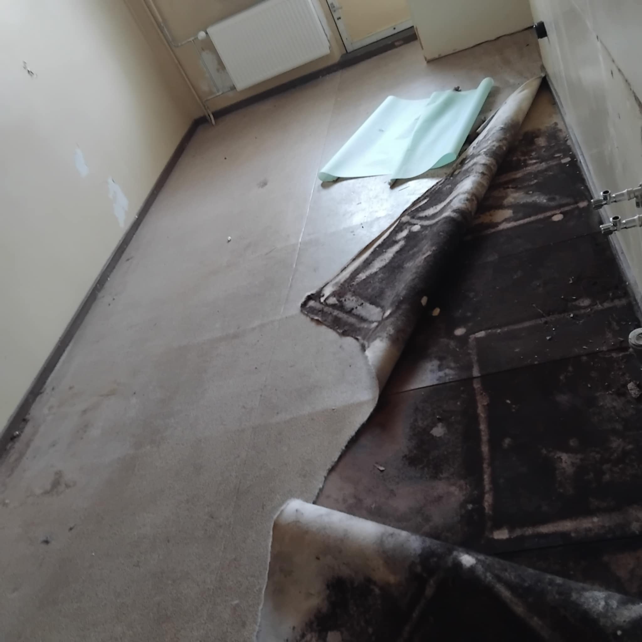 75eea021-d201-4e19-84fe-5a72be77c863