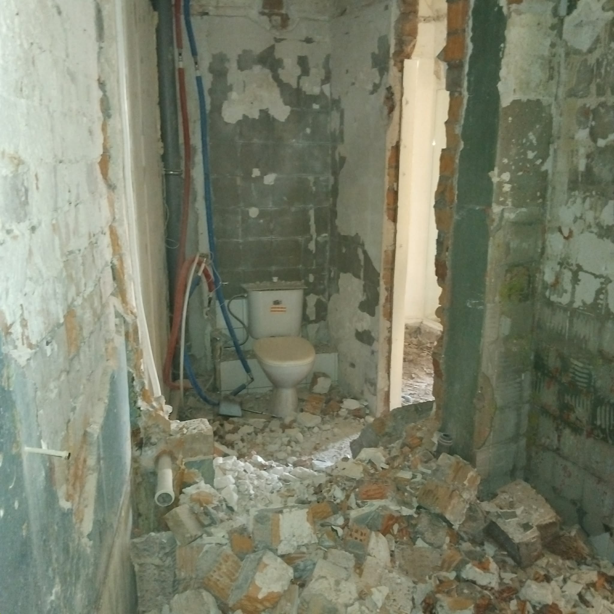 491e2f55-3de0-426e-83f2-016f6884ff4e